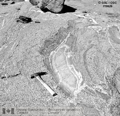 Photo 119826 : Enclave de schiste dans une matrice de diorite quartzogneissique, canal Gardiner, côte de la Colombie-Britannique