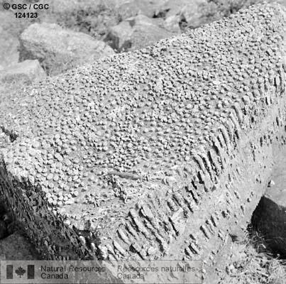 Photo 124123 : Coulées d'amphibolite présentant une structure en coussins plus ou moins aplatis, lac Brislane, district de Mackenzie (T.N.-O.).