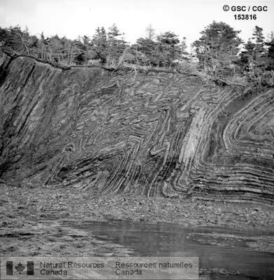 Photo 153816 : Lits contournés de shistes argileux du groupe d'Humber Arm de l'Ordovicien. Les plis ont probablement été formés au cours de la phase tectonique du  ...