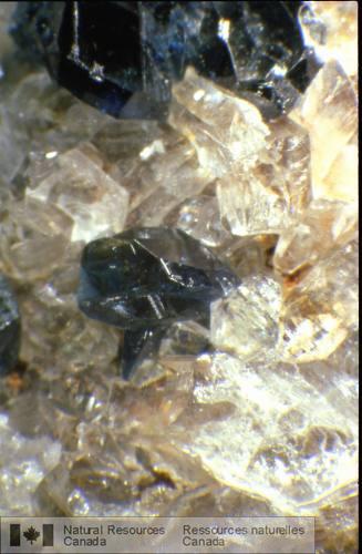 Photo 1992-173 : Microphotographie de lazulite dans du quartz provenant du ruisseau Crosscut, Yukon