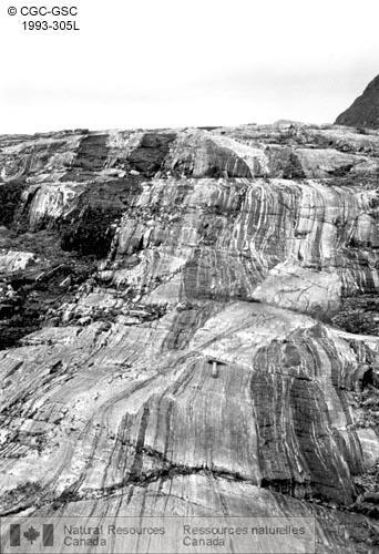 Photo 1993-305L : Gneiss de l'Archéen intensément cisaillés, dykes mafiques transposés du Paléoprotérozoïque et filons de pegmatite syncinématiques dans la zone  ...