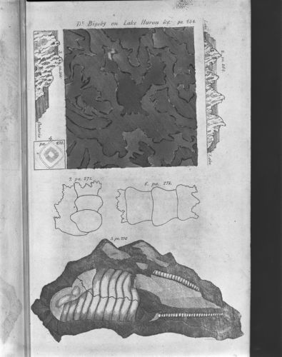 Photo 1994-756G : Figures 1 To 7 Of Plate Ii, Showing: 1) Le Serpent; 2) And 3) Unconformities Of Paleozoic On Shield; 4) X-su Of Mineral; 5) - 7) Fossils.