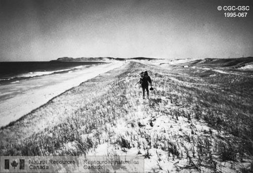 Photo 1995-067 : Série de cordons d'avant-dunes progradantes, Dune du Sud, côte des Îles-de-la-Madeleine, Québec