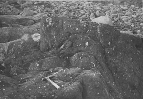 Photo 1997-054B : Northeast-trending Amphibolite Dyke, 3 M Thick, In Gneissic Tonalitic Rock With Quartz Eyes West Of Mary River No. 1 Iron Deposit (Nts 37g). The Dyke  ...