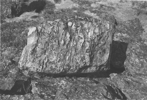 Photo 1997-054F : Granite-pebble Conglomerate In Feldspar-mica-quartz Schist, In The Upper Part Of The Lower Member Of The Quartz-rich Unit In The Lowermost Part Of  ...