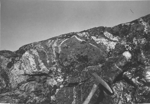 Photo 1997-054H : Folded Magnetite 'Ore' Surrounded, And Partially Assimilated By, Migmatitic Pink Granite Near The East End Of The North Synform In No. 4 Iron  ...