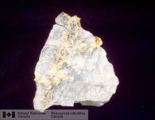 Photo 1999-003B : Or natif dans du quartz, mine Hoyle Pond, Timmins. Léchantillon mesure 6 cm de largeur