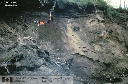 Photo 1999-012K : Sédiments organiques et colluviaux stratifiés, emplacements des échantillons et datations au carbone 14. Paroi Nord, mines placériennes de Revenue  ...