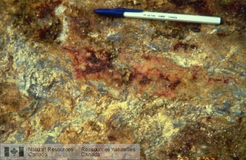 Photo 1999-016A : Filonnets siliceux aurifères et pyritifères (gris) dans une roche volcanique altérée dalunite-kaolinite (beige); gîte de Lahoca, Hongrie