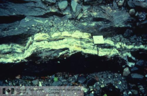 Photo 1999-016J : Filon de quartz à stratification parallèle; Harrigan Cove, district de Meguma, Nouvelle-Écosse