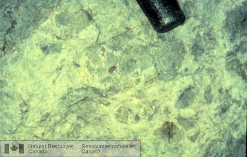 Photo 1999-016K : Filon bréchique de quartz; gisement de Mount Skukum, Yukon. Lobjet qui indique léchelle est la tête arrondie dun marteau de géologue.