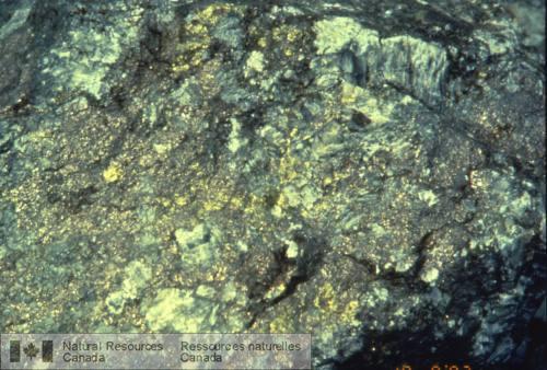 Photo 1999-016L : Minerai de skarn à pyrrhotite-chalcopyrite-arsénopyrite-sulfures; gisement de Hedley, Colombie-Britannique