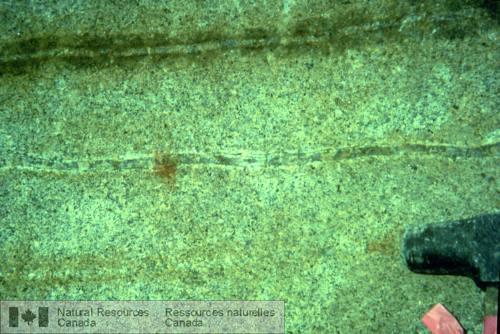 Photo 1999-016O : Filons de quartz feuilleté dans de la granodiorite; zone dEagle, gisement de Dublin Gulch, Yukon