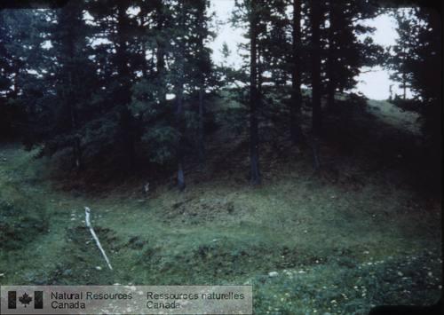Photo 1999-039 : Ravinement lié à lexfiltration deau souterraine, à la confluence de deux parties amont de vallées de premier ordre