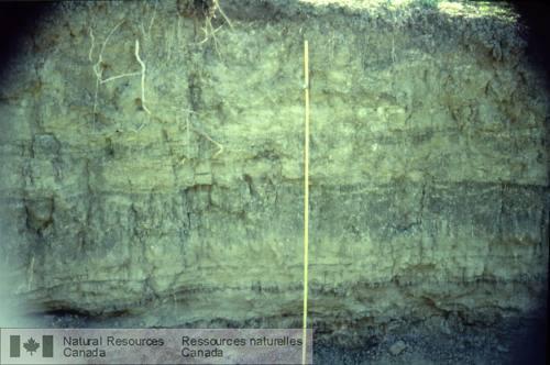 Photo 1999-043F : Sédimentation lacustre  alternant de manière cyclique entre du sable fin et de largile déposés dans le lac postglaciaire Junction.