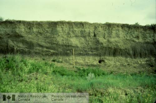 Photo 1999-043H : Chenaux de direction nord, remplis de sable moyen et dargile massive en minces couches alternées et ondulées, affouillés dans des sédiments lacustres  ...