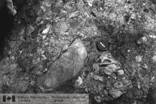 Photo 2000-005B : Brèche déboulis dans la Formation de Mount Misery renfermant des clastes de basalte et de péridotite dans une matrice sableuse. Île dans létang Long.