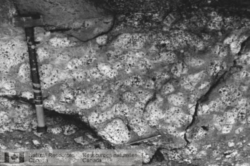 Photo 2000-005C : Tuf soudé blocailleux subaquatique, typique du membre basal de Bobby Cove. Tous les clastes sont consitués dandésite vacuolaire à phénocristaux de  ...