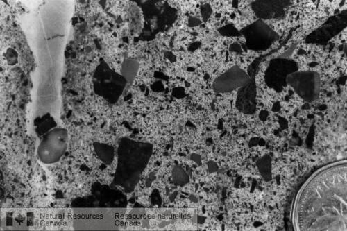 Photo 2000-005D : Matrice de débris volcanoclastiques de la Formation de Balsam Bud Cove (échantillon BC-94-882). Les clastes renferment du basalte (noir) et divers  ...