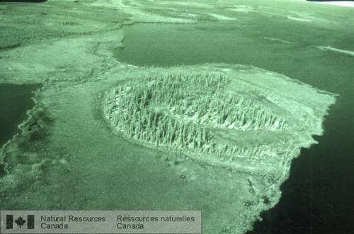 Photo 2000-026A : Plateau palsique isolé renfermant une tourbière minérotrophe effondrée