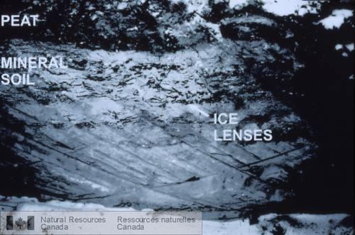 Photo 2000-033B : État du sol et du pergélisol observé dans une tranchée pendant la construction du pipeline Norman Wells à kpo.z Norman Wells. Remarquer la mince  ...