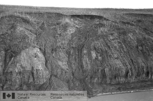 Photo 2000-095 : Glissements de terrain sur les berges du fleuve Mackenzie, près de lembouchure de la rivière Thunder, Territoires du Nord-Ouest, causés par la  ...