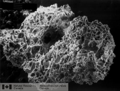 Photo 2000-125 : Vue au microscope électronique à balayage dun fragment de pumice montrant sa nature très poreuse et vésiculaire