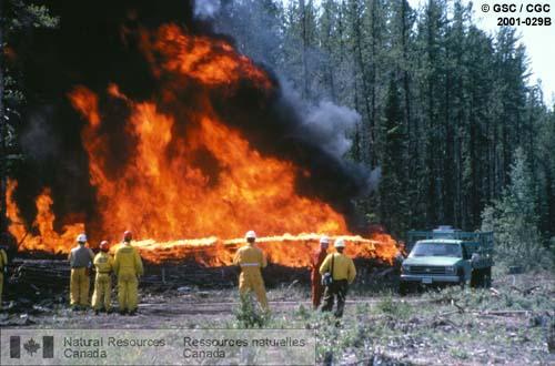 Photo 2001-029B : Feu de cimes au site de l'Expérience internationale de modélisation des feux de cimes dans les T. N.-O