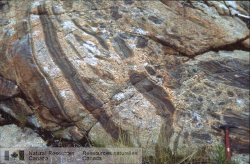Photo 2002-416BB : Inclusions variant de lamphibolite du faciès des granulites au gneiss amphibolitique dans de la tonalite