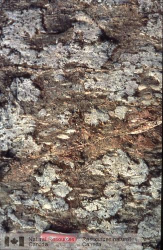 Photo 2002-416E : Roches volcaniques felsiques altérées avec cordiérite grossière et agrégats danthophyllite