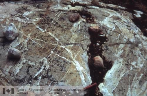 Photo 2002-416EE : Diorite quartzique du domaine de Dauphinee recoupée par de nombreux dykes transversaux