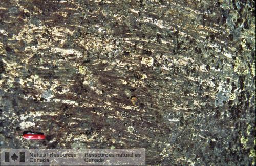 Photo 2002-416F : Migmatite métavolcanique relativement moins déformée, métamorphisée jusquau faciès des granulites