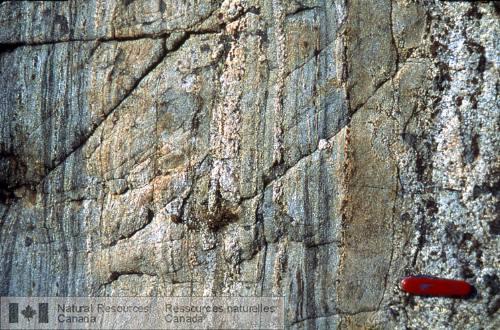 Photo 2002-416G : Migmatite métavolcanique en couches fines, relativement plus rectiligne et plus déformée, métamorphisée jusquau faciès des granulites.