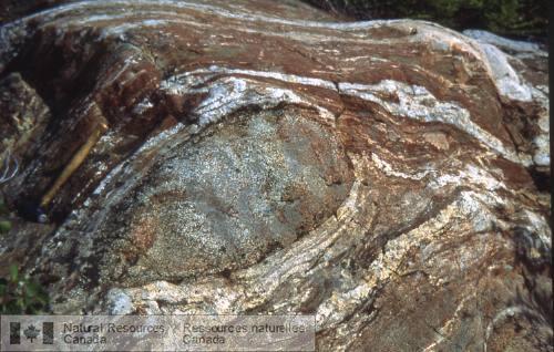 Photo 2002-416GG : Inclusion de diorite quartzique dans la migmatite métasédimentaire de Yellowknife