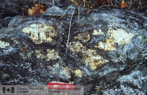 Photo 2002-416HH : Métagabbro anorthositique avec cristaux de plagioclase très grossiers