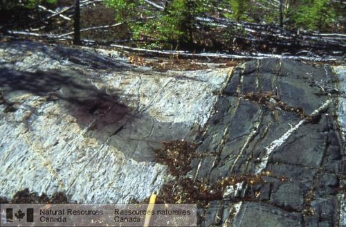 Photo 2002-416MM : Dyke de métagabbro recoupant un dyke mafique plus ancien dont la lithologie est différente