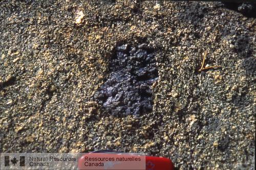 Photo 2002-416N : Diatexite mélanocrate de la zone à feldspath potassique avec porphyroclaste grossier de cordiérite