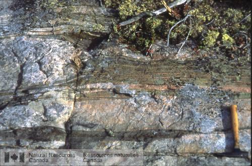 Photo 2002-416S : Gneiss trondhjémitique dans le centre-nord du Complexe de Hinscliffe avec des inclusions damphibole fortement déformées.