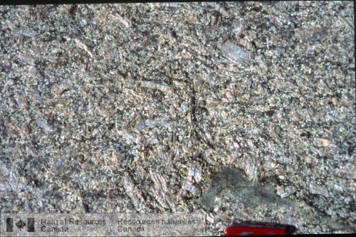 Photo 2002-416SS : Granite mégacristallin