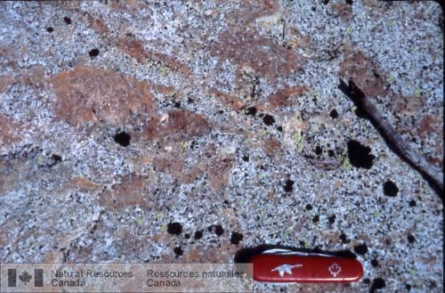 Photo 2002-416T : Veine de pegmatite désagrégée dans la trondhjémite du Complexe de Hinscliffe