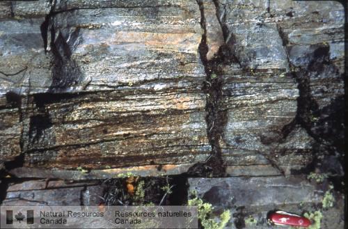 Photo 2002-416U : Gneiss mylonitique à trondhjémite avec filons-couches dioritiques moins déformés