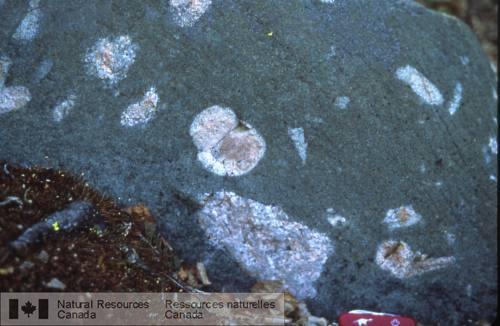 Photo 2002-416UU : Diatrème renfermant des clastes de granite du complexe de Hinscliffe