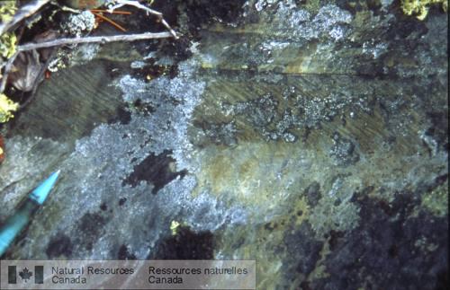 Photo 2002-416VV : Couplets granoclassés de métagrauwacke-mudstone à grains fins présentant des clivages en chevrons