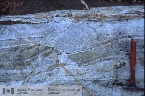 Photo 2002-416W : Inclusion étendue de gneiss granodioritique dans la trondhjémite moins déformée du Complexe de Hinscliffe
