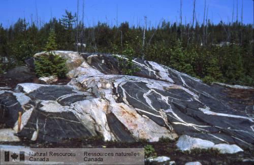 Photo 2002-416Y : Essaim dinclusions damphibolite anguleuse de la partie centrale du Complexe de Hinscliffe