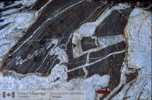 Photo 2002-416Z : Inclusion damphibolite dans la trondhjémite du Complexe de Hinscliffe