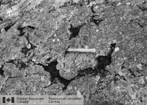 Photo 2002-774 : Tubes de basalte en coussins non déformés du côté sud de lanticlinal principal; sommets présentant des vacuoles grossières.