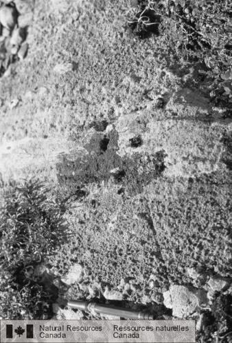 Photo 2002-781 : Tuf lité entre des unités massives de brèches de lahars, dans le cône du lac Keish, au sud du lac Quartermoon