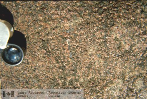 Photo 2003-054 : Grenatite à biotite et Mag comportant environ 30 % de grenat en grains millimétriques sub-automorphes dans une matrice riche en biotite. La magnétite  ...