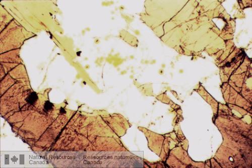 Photo 2003-062 : Photomicrographies de gneiss alumineux. Assemblage biotite-cordiérite-grenat-orthopyroxène du pic métamorphique (Complexe gneissique de Bondy). Noter  ...